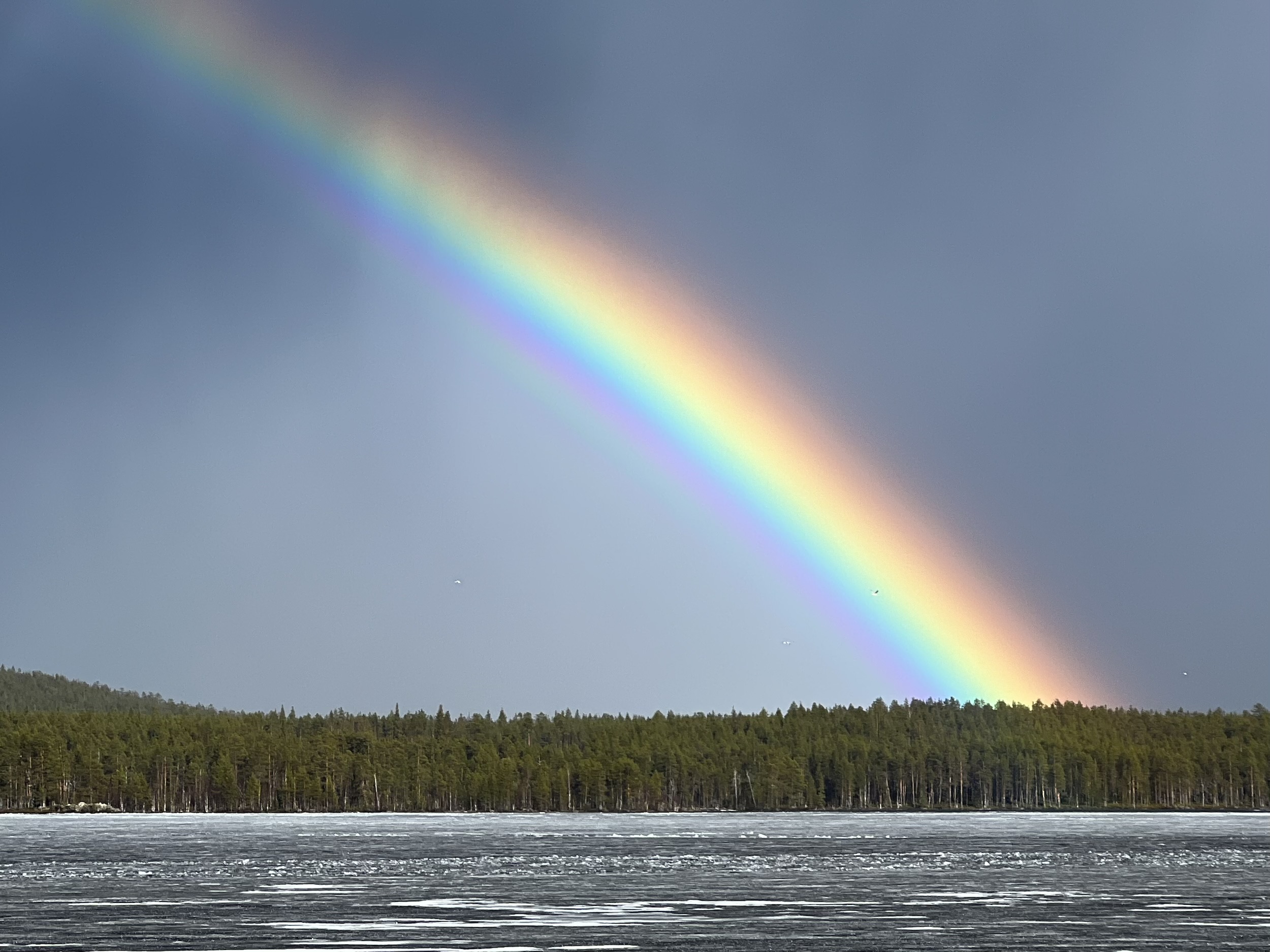 SaveKemijärvi, Henna Jyrkkä